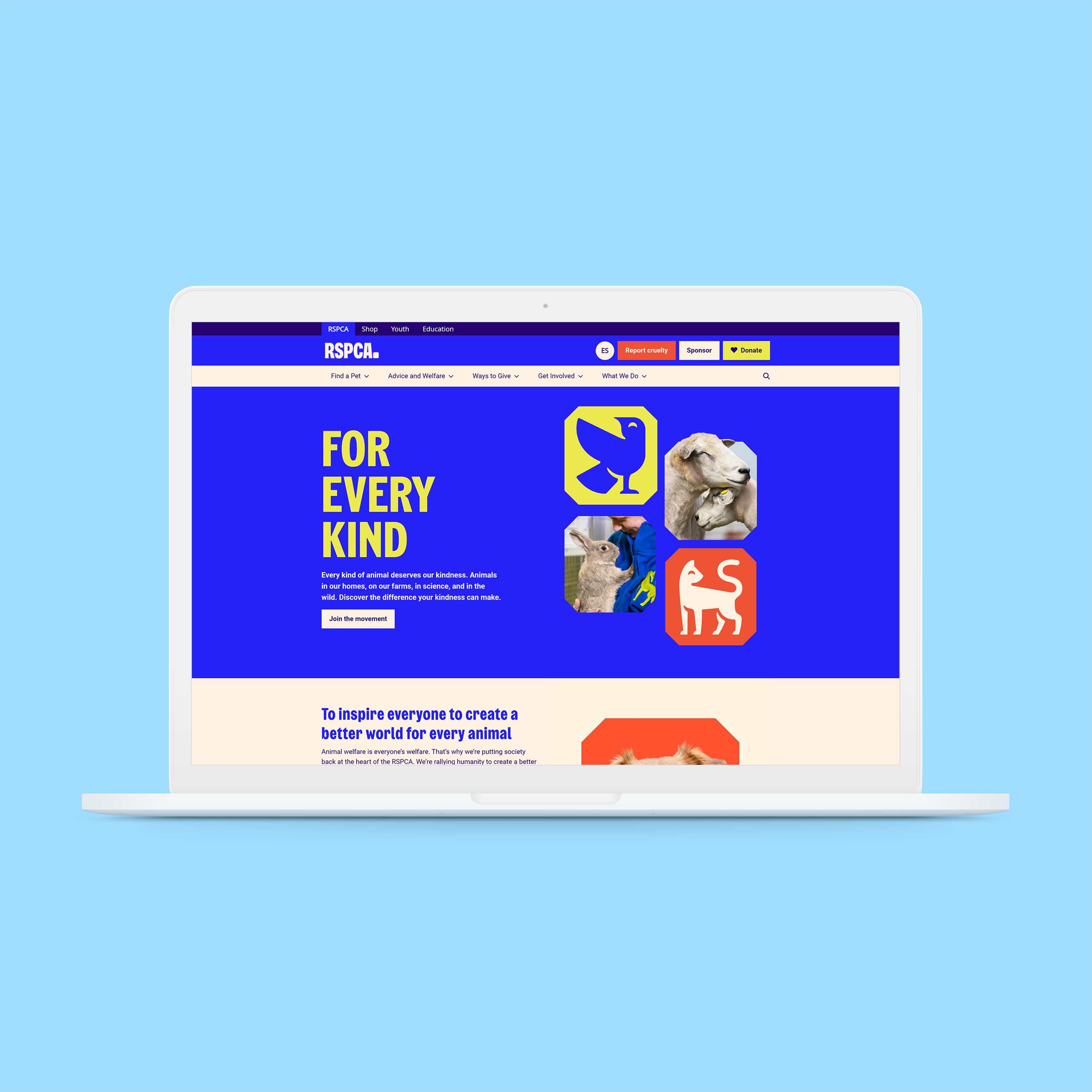 RSPCA Rebrand UX/UXR